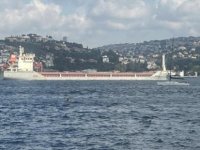 Ukrayna’dan gelen mısır yüklü ‘Polarnet’ gemisi İstanbul Boğazı’ndan geçti