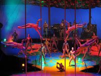 Cirque du Soleil'de korkunç kaza