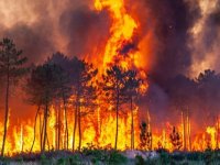 Fransa'daki orman yangını: Her dakika 10 futbol sahası kül oluyor