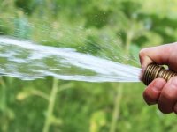 Britanya’da kuraklık: Önde gelen su şirketinden ‘hortum yasağı’
