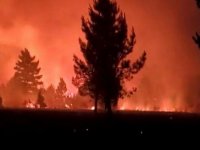 İspanya'da Orman Yangını: 1300 Kişi Tahliye Edildi
