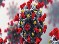 Koronavirüs pandemisi gut hastalığını da artırdı