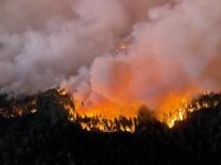 California'nın kuzeyindeki orman yangınında 11 binden fazla kişi tahliye edildi