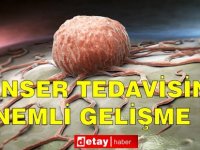 Kanser tedavisinde önemli gelişme