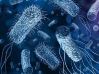 Bilim insanlarını korkutan süper bakteri: Farkına varmadan hastalanıyorlar