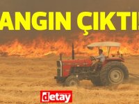 Yılmazköy'de yangın çıktı