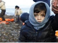Avrupa’da ailesi olmayan binlerce çocuk insan tacirlerinin eline düşüyor