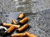 BM İklim Zirvesi’nde tütün ürünlerinin çevresel etkileri tartışıldı