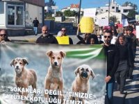 Hamitköy'de Hayvanseverler Eylem Yaptı!