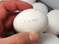 Mikrobiyoloji uzmanından yumurta uyarısı