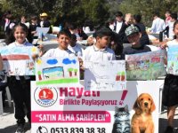 Girne Belediyesinden Sokak Hayvanları Koruma Gününde Anlamlı Etkinlik