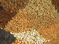 Tahıl, Bağ ve çeşitli ürün listelerine itiraz süresi Cumaya kadar uzatıldı