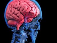 Araştırma: İnsan beyni, “göz açıp kapayıncaya” kadar sahte anı üretebiliyor