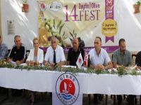Zeytin Festivali başlıyor