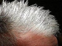 Bilim insanları saçlardaki beyazlaşmayı tersine çevirmenin yollarını arıyor
