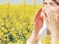 Alerjik hastalıklar neden artıyor?