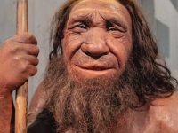 Burnundan nefret edenler… Tüm suç Neandertal DNA’sında