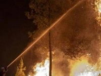 İspanya’da orman yangınları: 700 kişi tahliye edildi