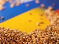 AB, 5 ülkenin Ukrayna’dan tahıl ithalatı kısıtlamasını uzattı