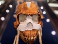 Dünyanın en eski mezarlığı bulundu: Evrim teorisine bakış açısını değiştirecek