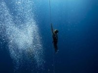 Serbest dalış: İnsanlar tek nefeste daha ne kadar derine inebilir?