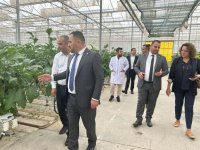 Tarım ve Doğal Kaynaklar Bakanı Çavuş, Geentech serasında incelemelerde bulundu