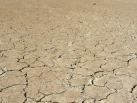 İran’da kuraklık alarmı: Her yıl 1,5 milyon hektar alan çölleşiyor