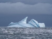 Grönland’da buzullarının erime hızı beş kat arttı