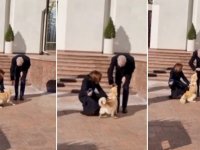 Moldova Cumhurbaşkanı’nın köpeği Avusturya Devlet Başkanı’nı ısırdı