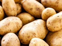 Belarus'un uzay araştırmaları fonu patatese dönüştü