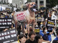 Güney Kore Meclisi, köpek eti tüketimini yasaklayan tasarıyı onayladı