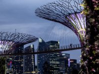Singapur beyaz yakalı yabancı istihdam kurallarını yeniden sıkılaştırıyor