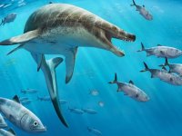 66 milyon yıl önce yaşamış ‘canavar’ deniz kertenkelesinin fosili bulundu