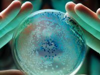 Mikrobiyota dengesinin bozulması hastalıklara davetiye çıkarıyor