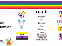 Kuir Kıbrıs Derneği, “LGBTİ+ Mitler ve Gerçekler, Farkında Mıyız?” Tematik Tartışma Etkinliğini Gerçekleştirdi. 