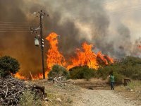 Orman Dairesi açıkladı: Ateş yakmak yasaklandı