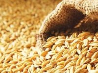 TÜK: Hiçbir üretici mağdur olmayacak