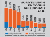 100 bin Suriyeli çoban aranıyor!