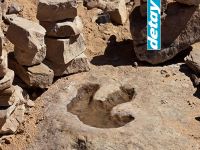 Tunus'ta dinozorların ayak izleri bulundu