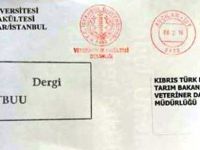 Üniversite yetkilileri KKTC’yi Federal Devlet yaptı