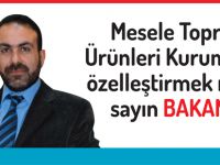 Asıl mesele nedir sayın Bakan?