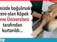 Boğulmak üzereyken kurtarıldı