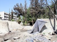 Esed güçleri Hama'da 26 kişiyi infaz etti