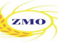 ZMO'dan seminer