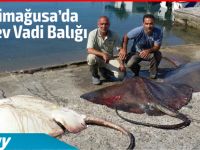Gazimağusa'da 3  dev vadi balığı yakaladı