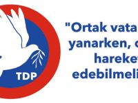 TDP: "Ortak vatanımız yanarken, ortak hareket edebilmeliyiz"