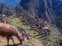 Machu Picchu'da 'uçuş selfiesi' çekerken uçurumdan düştü