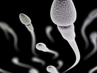 Cep telefonunu cebinde taşıyan erkeklerde sperm kalitesi düşüyor
