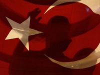 Yeşiller'den Türkiye genel görüşmesi talebi