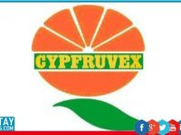 Cypruvex çalışanlarının maaşlarını hala ödemedi!